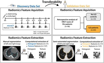 Transferability of radiomic signatures from experimental to human interstitial lung disease